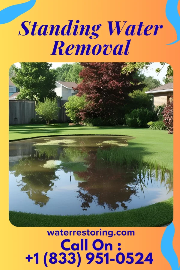 Standing Water Removal in Sibley, MO